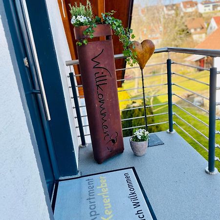 Apartment Keuerleber Holzmaden Eksteriør billede